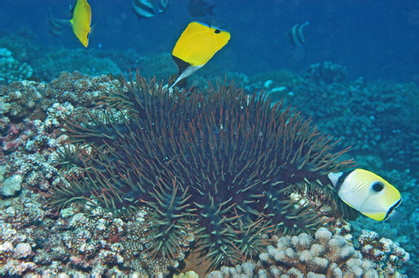 DSC_0005_edited-1-1