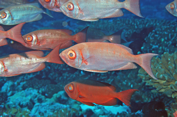 DSC_0005_edited-1-2