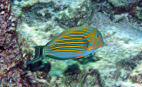 DSC_0006_edited-1-2