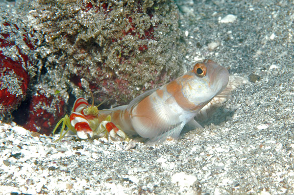 DSC_0010_edited-1