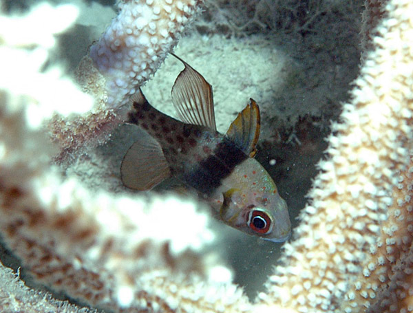 DSC_0011_edited-2