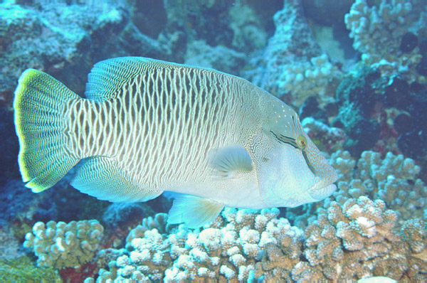 DSC_0012_edited-1-3
