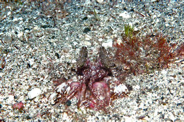 DSC_0014_edited-1