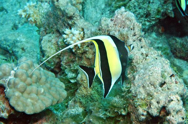 DSC_0015_edited-1-3
