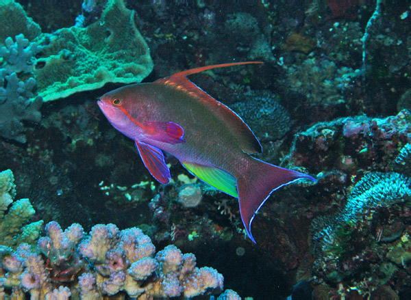DSC_0024_edited-1-1