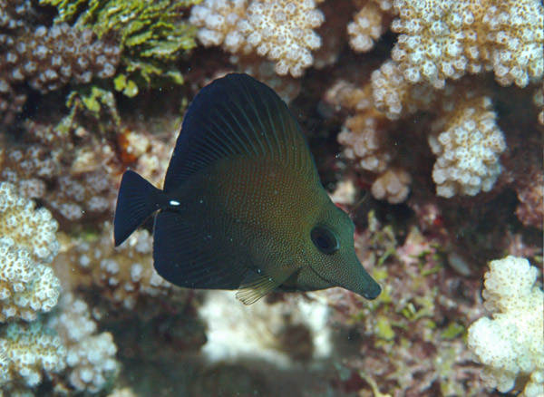 DSC_0024_edited-1-4