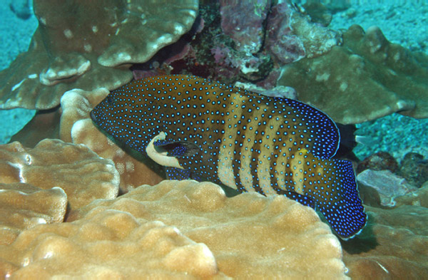 DSC_0024_edited-1-5