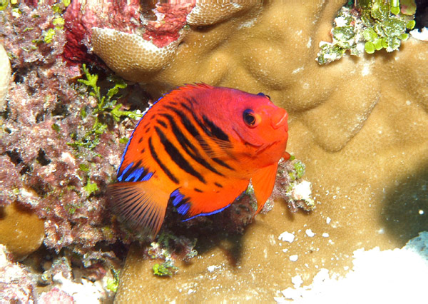 DSC_0028_edited-1-1
