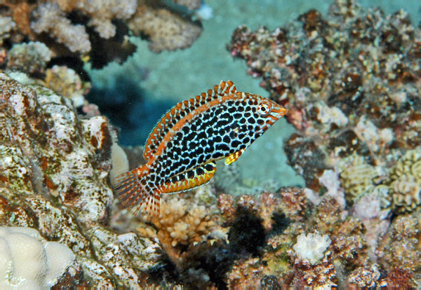 DSC_0030_edited-2