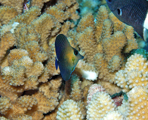 DSC_0041_edited-2