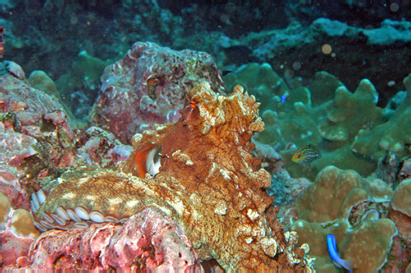DSC_0042_edited-1-2