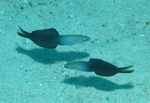 DSC_0045_edited-1