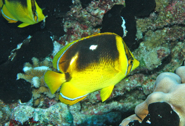 DSC_0045_edited-2