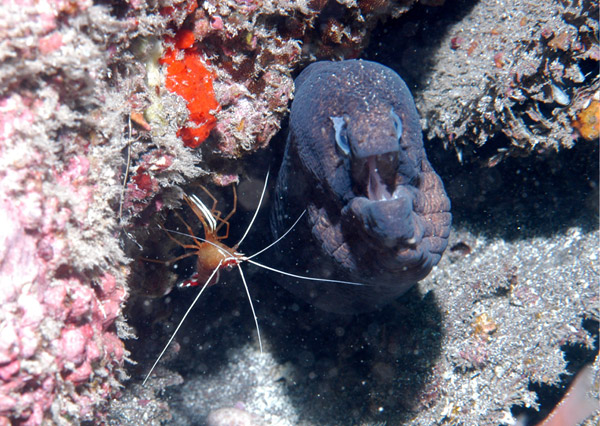 DSC_0053_edited-1-3