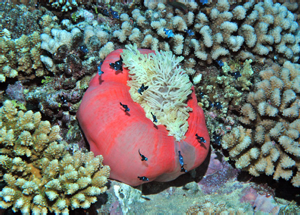 DSC_0055_edited-1-1