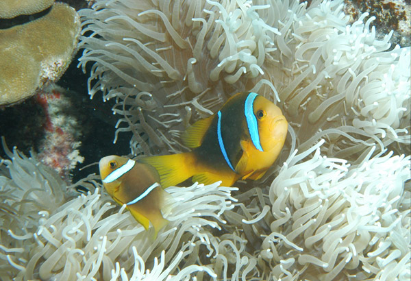 DSC_0076_edited-1-1