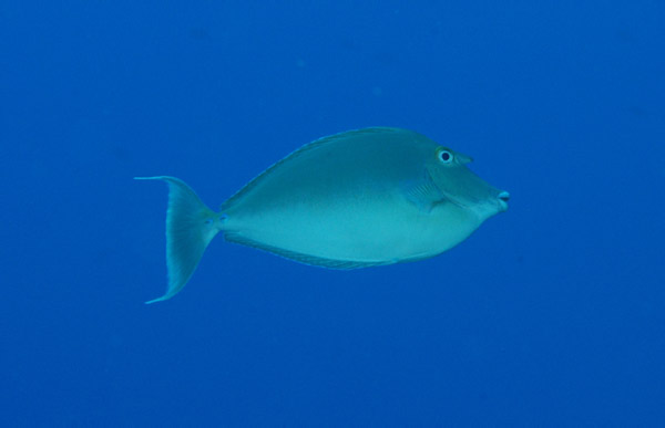 DSC_0085_edited-1