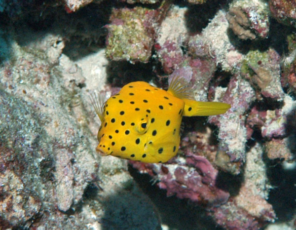 DSC_0114_edited-1