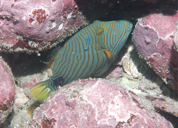 DSC_0121_edited-1