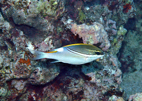 DSC_0144_edited-1
