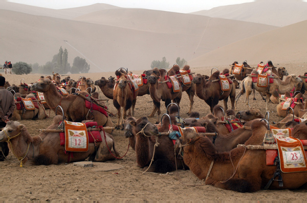 DSC_0194_edited-1