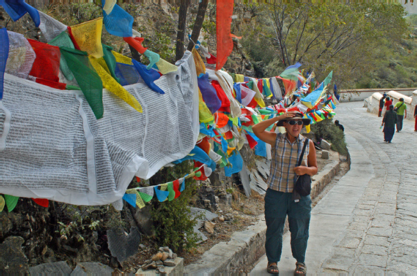 DSC_0379_edited-1