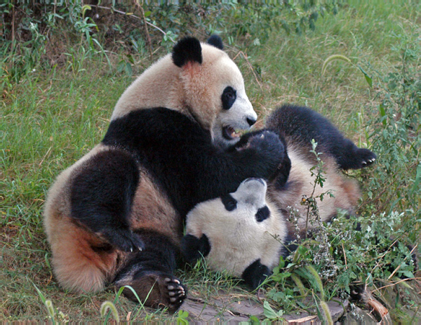 DSC_0539_edited-1