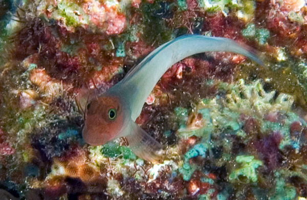 DSC_0295_edited-1
