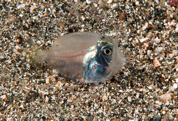 DSC_0736_edited-2