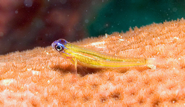 DSC_0893_edited-2